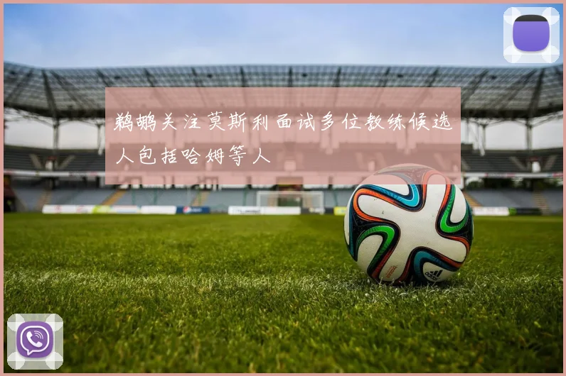 鹈鹕关注莫斯利面试多位教练候选人包括哈姆等人